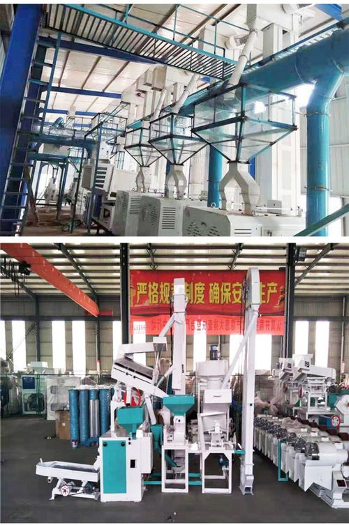 成套大米加工設備